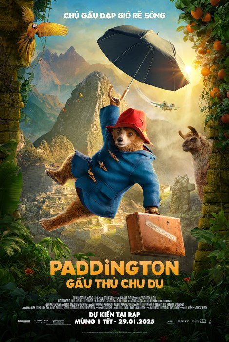 Paddington in Peru